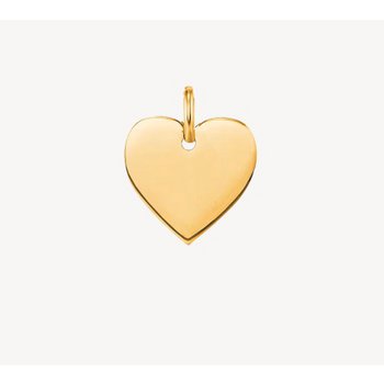 Anhänger - Gelbgold 375 - Gravurplatte Herz 11mm